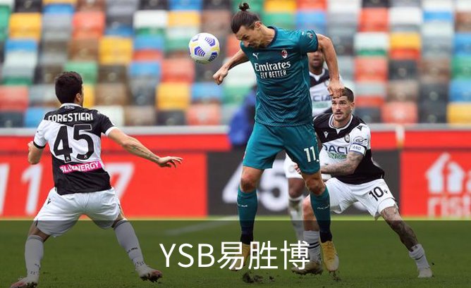 YSB易胜博概况